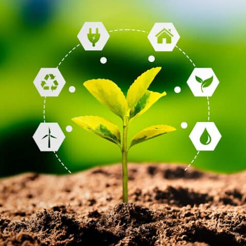 השקעות ESG - גישת ההשקעות הצומחת בשוק ההון - אינטראקטיב ישראל
