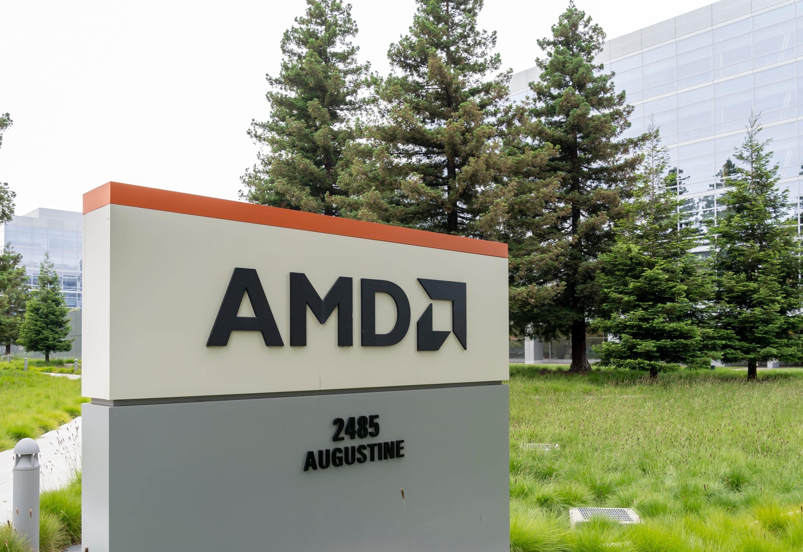 האם AMD עומדת לגנוב לאנבידיה את ההובלה?