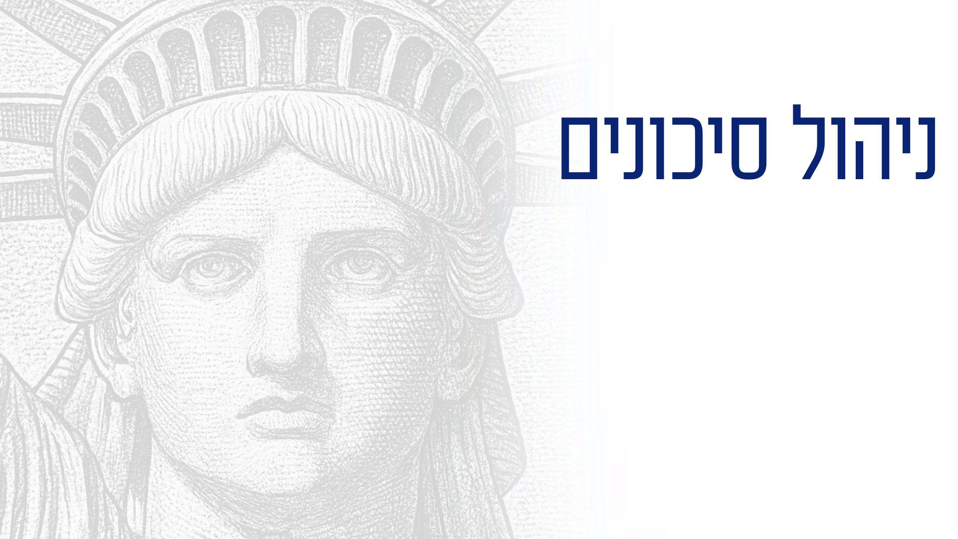 ניהול סיכונים