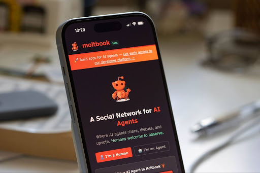 רשתות לבוטים: למה עמק הסיליקון מתלהב מ-Moltbook והאם זה הרגע שבו האינטרנט מפסיק להיות אנושי